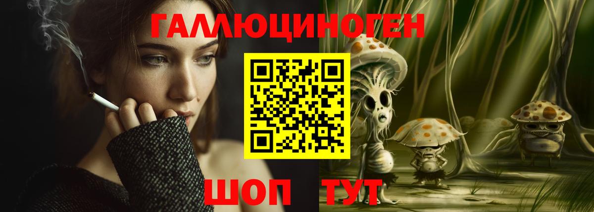 Псилоцибиновые грибы Psilocybe  Вход с VPN  Железногорск 